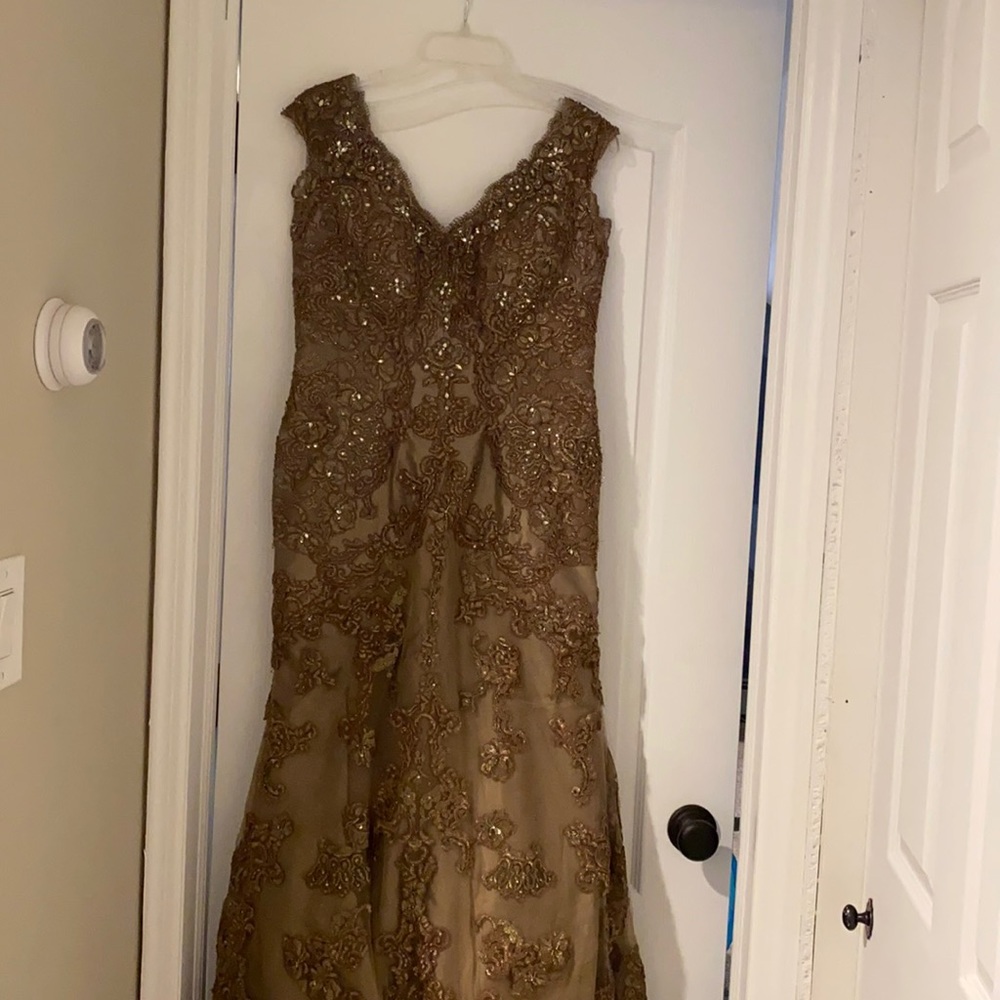 Evening gown stunning. Worn once